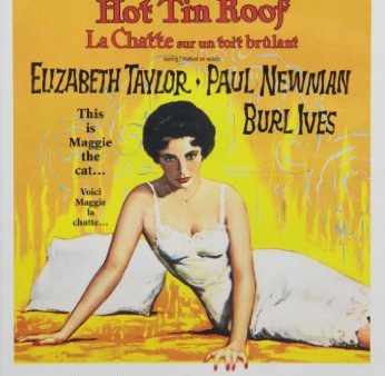 CAT ON A HOT TIN ROOF (SOUS-TITRES FRANAIS) Hot on Sale