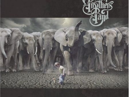 ALLMAN BROTHERS BAND - HITTIN THE NOTE Online Sale