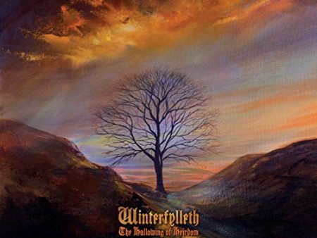 WINTERFYLLETH  - HALLOWING OF HEIRDOM on Sale