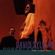 SYLVIAN, DAVID & ROBERT FRIPP  - THE FIRST DAY Online now