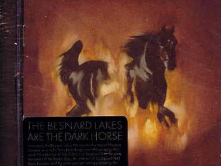 BESNARD LAKES - ARE THE DARKHORSE Online