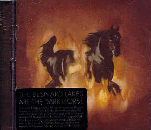 BESNARD LAKES - ARE THE DARKHORSE Online