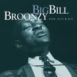 BROONZY, BIG BILL - CAN T BE SATISFIED For Discount