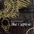 BRADDIGAN - CAPTIVE Online Sale